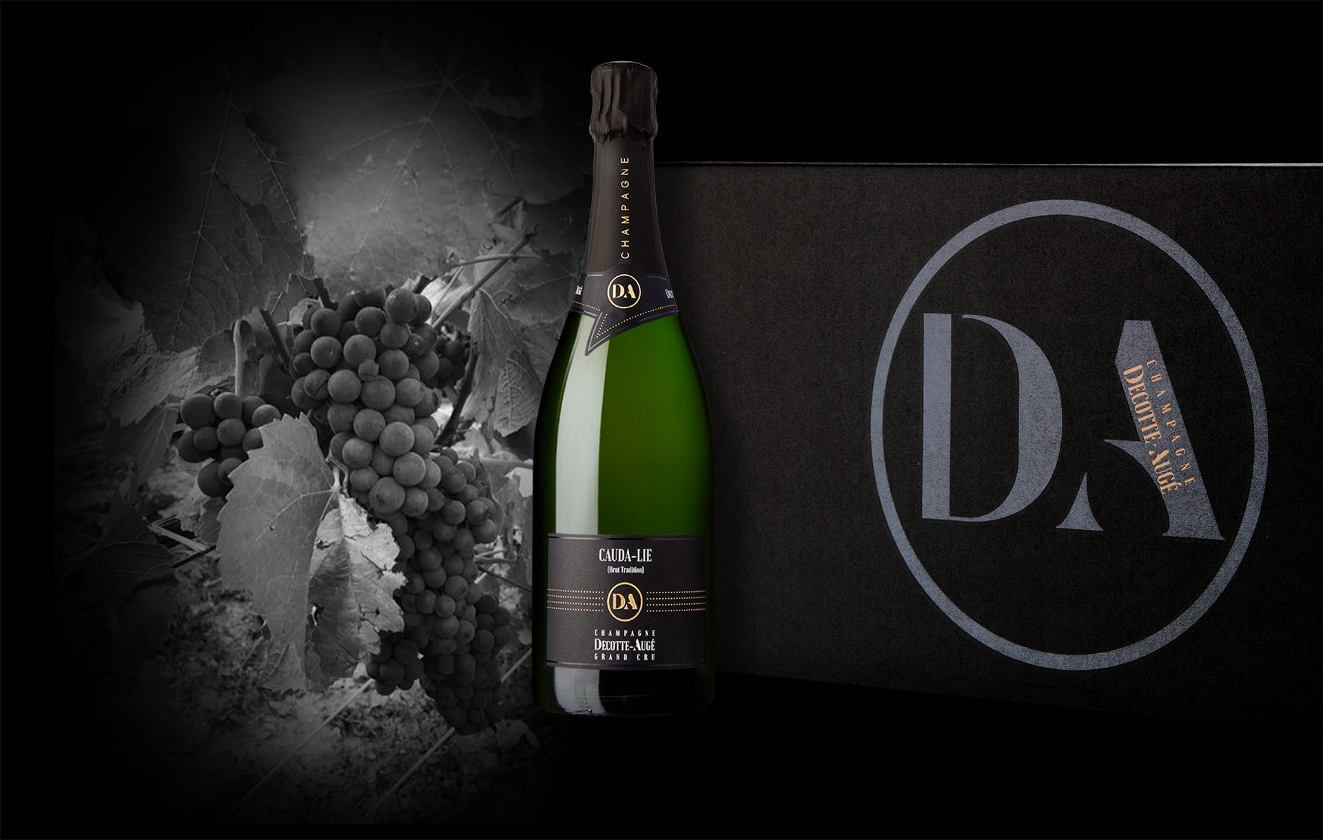 CHAMPAGNE Decotte Augé - Cauda-Lie BRUT - Obrázek 3