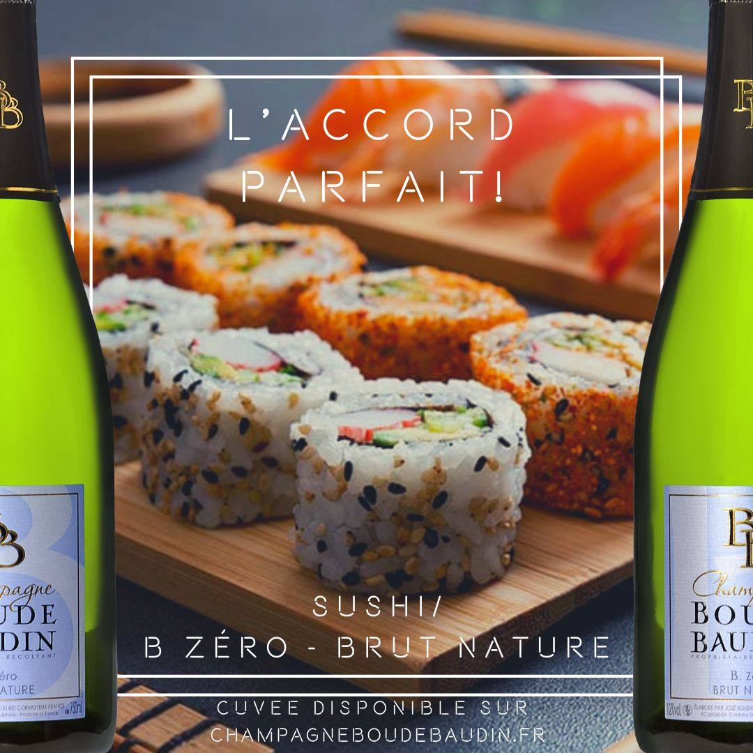 CHAMPAGNE Boude Baudin - BRUT NATURE - Obrázek 5